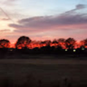 Meet your Posher, Gracie